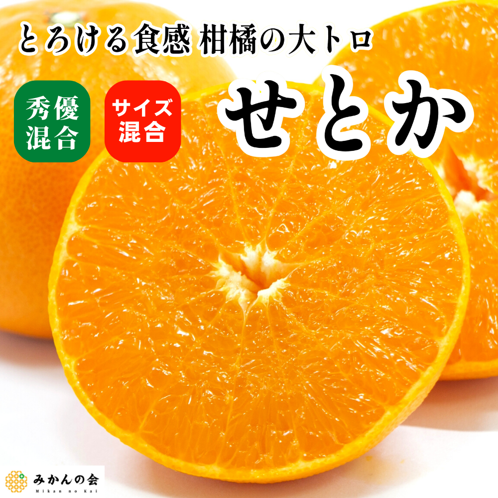 【数量限定】柑橘の大トロと呼ばれるせとかの販売開始｜株式会社みかんの会 和歌山有田のせとか通販
