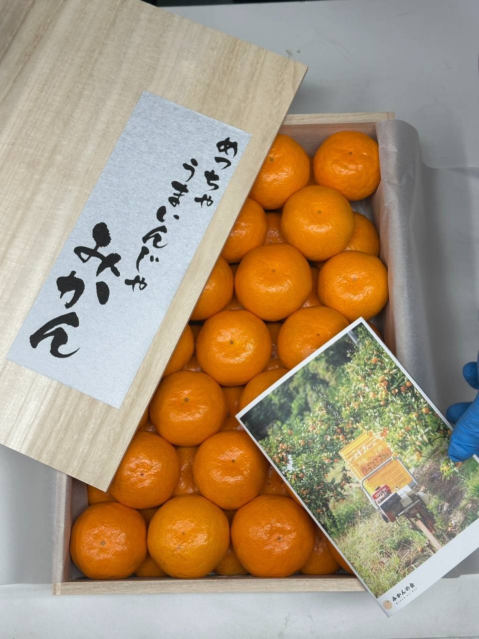 めっちゃうまいんじゃみかん🍊箱詰めの様子をお届け✨｜株式会社みかんの会　和歌山有田のみかん　通販