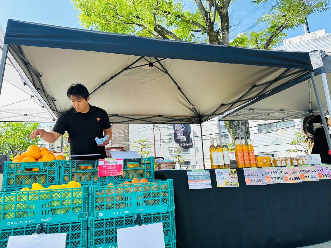 ★星のかなで★ご来店ありがとうございました✨｜株式会社みかんの会　和歌山有田の柑橘通販