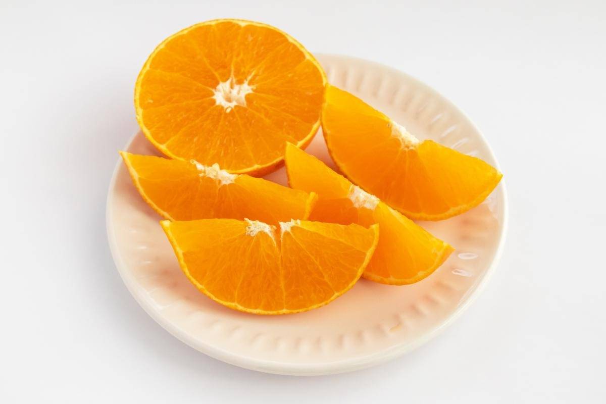 贈答用みかんの選び方と購入する際のポイント完全ガイド