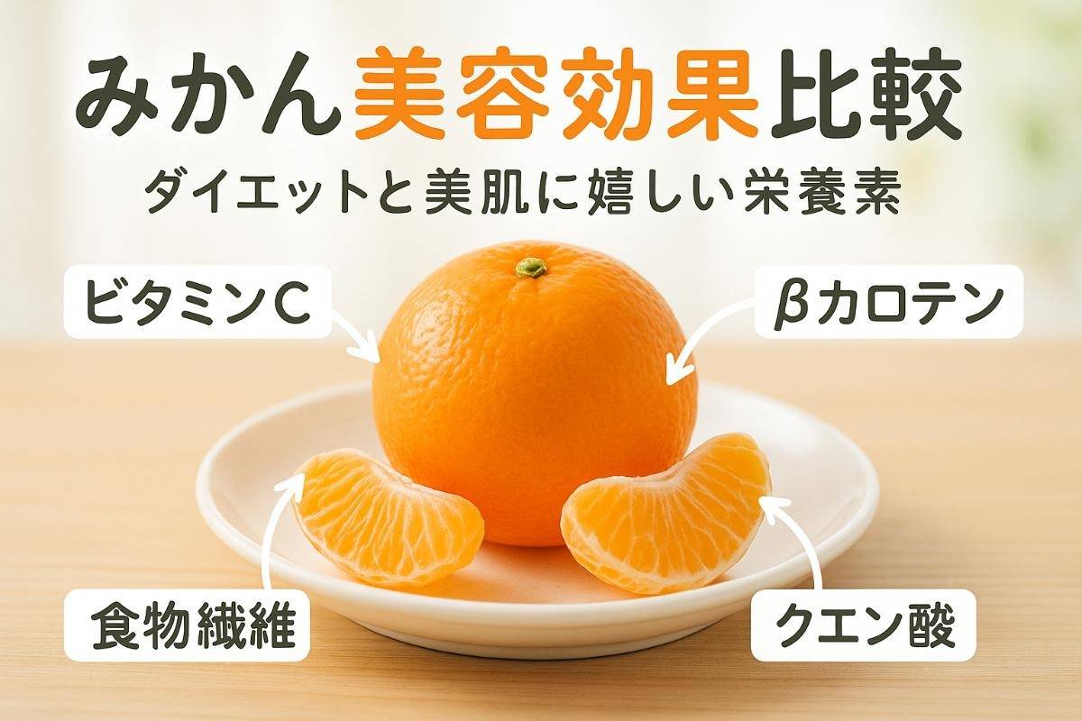 みかん 美容効果を徹底比較 ダイエットと美肌に嬉しい栄養素とは