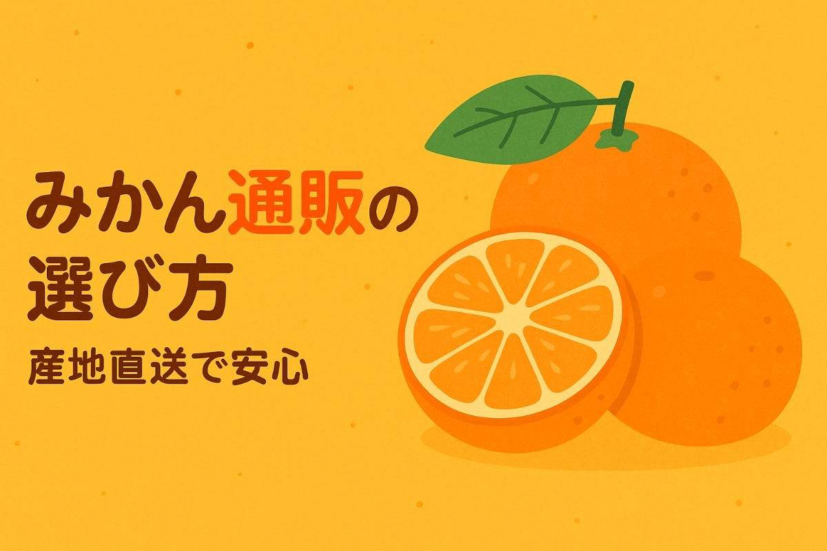 みかん通販の人気ランキングと産地直送で失敗しない選び方徹底ガイド