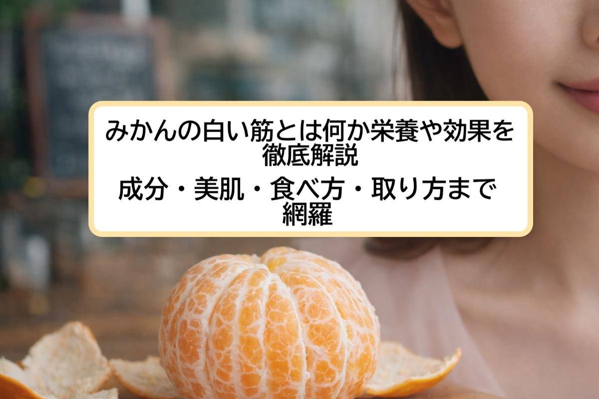 みかんの白い筋とは何か栄養や効果を徹底解説｜成分・美肌・食べ方・取り方まで網羅