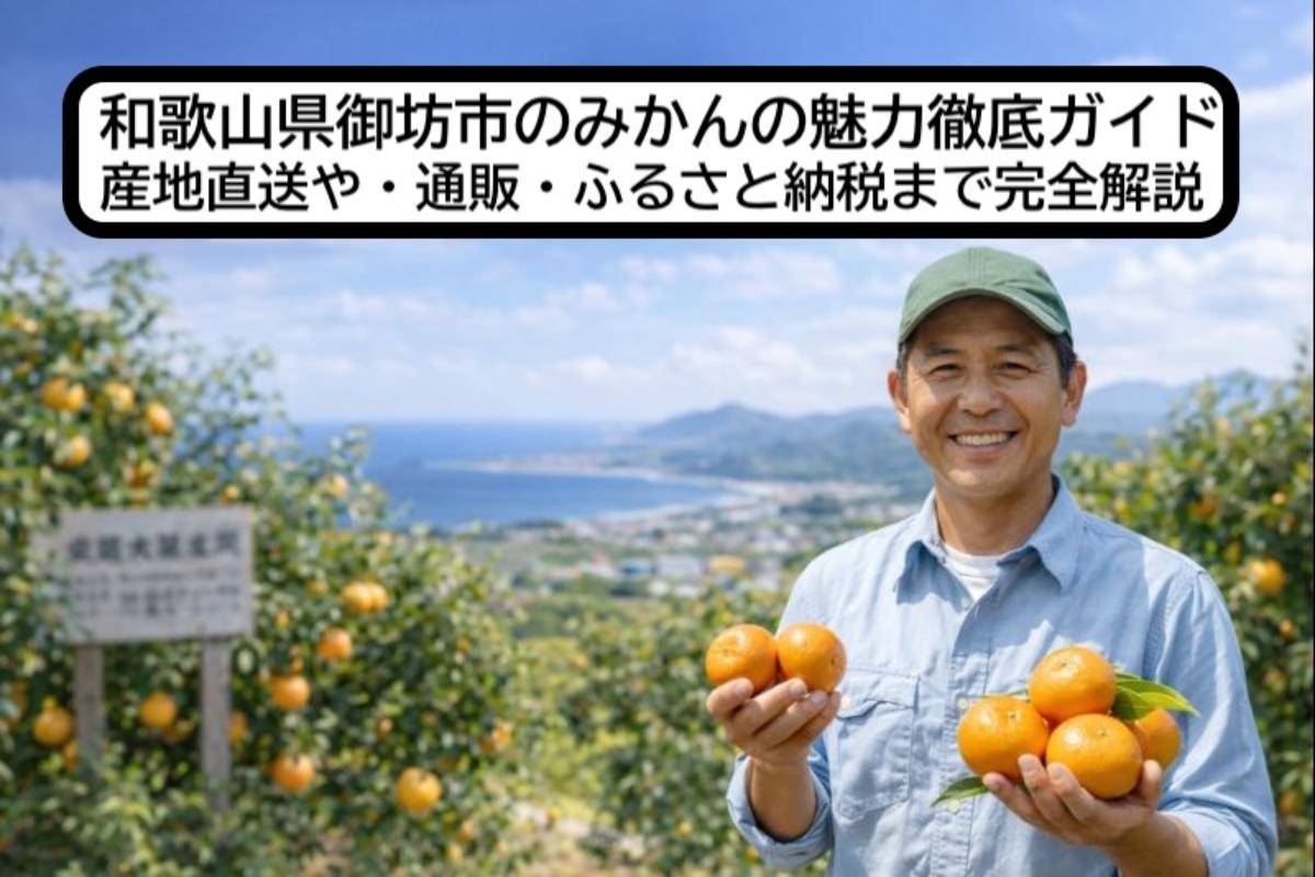 和歌山県御坊市のみかんの魅力徹底ガイド｜産地直送や・通販・ふるさと納税まで完全解説