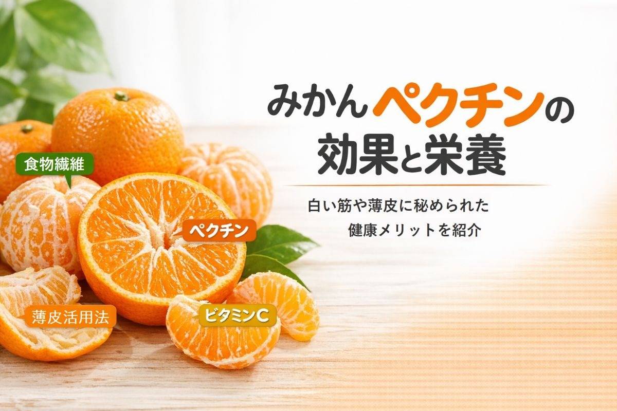 みかんのペクチンの効果と栄養を徹底解説！白い筋や薄皮の活用法と健康メリット