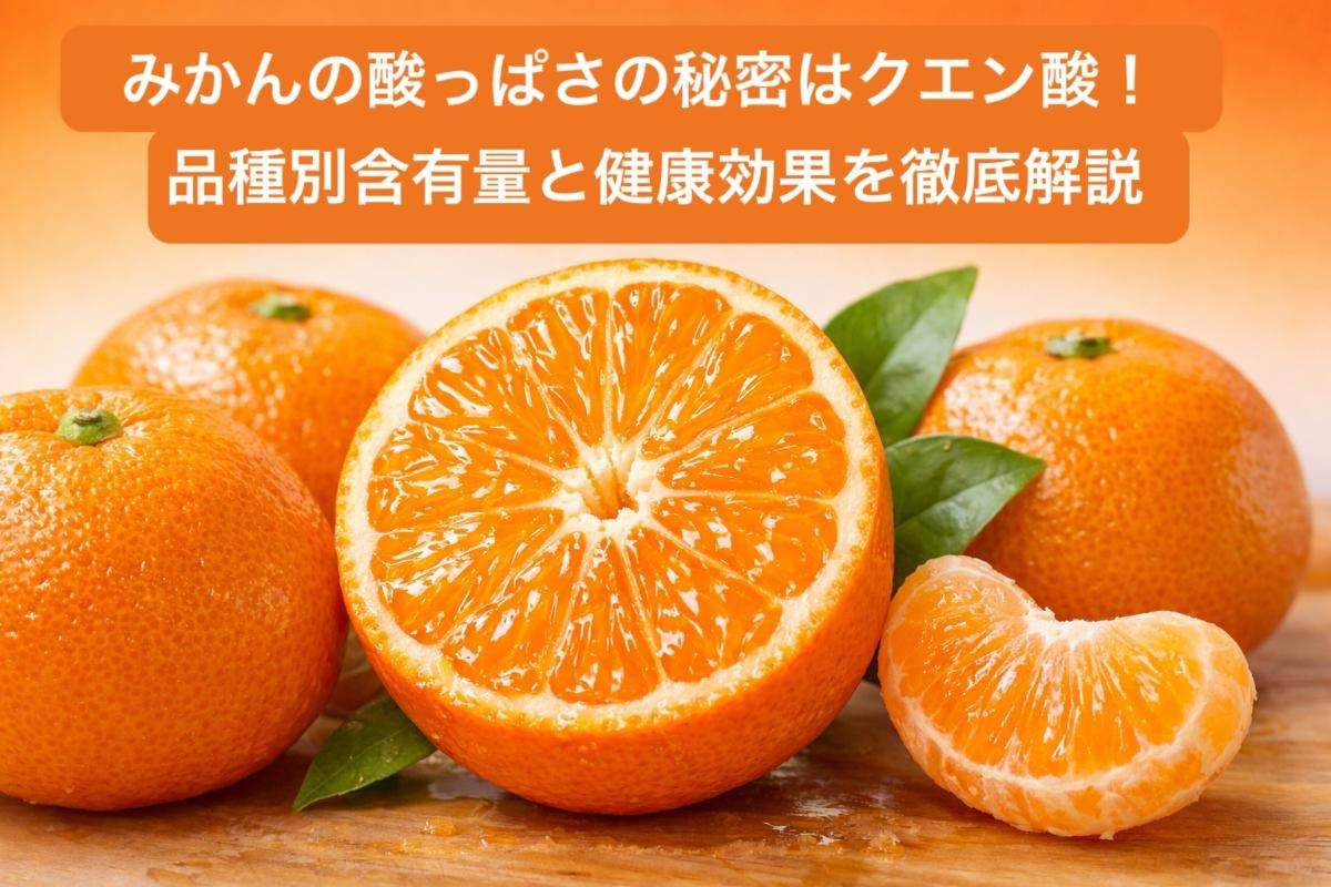 みかんの酸っぱさの秘密はクエン酸！品種別含有量と健康効果を徹底解説
