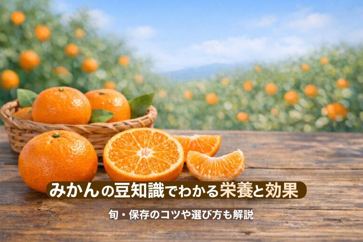 みかんの豆知識でわかる栄養と効果｜旬・保存のコツや選び方も解説