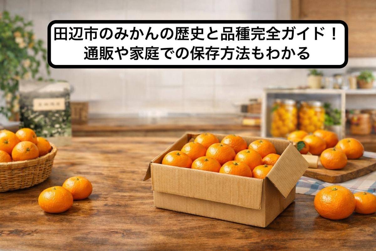 田辺市のみかんの歴史と品種完全ガイド！通販や家庭での保存方法もわかる
