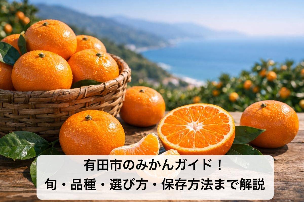 有田市のみかんガイド!旬・品種・選び方・保存方法まで解説