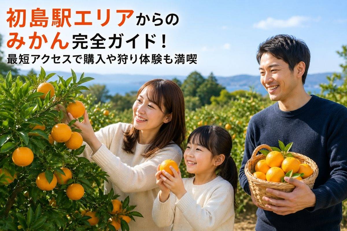 初島駅エリアからのみかん完全ガイド！最短アクセスで購入や狩り体験も満喫