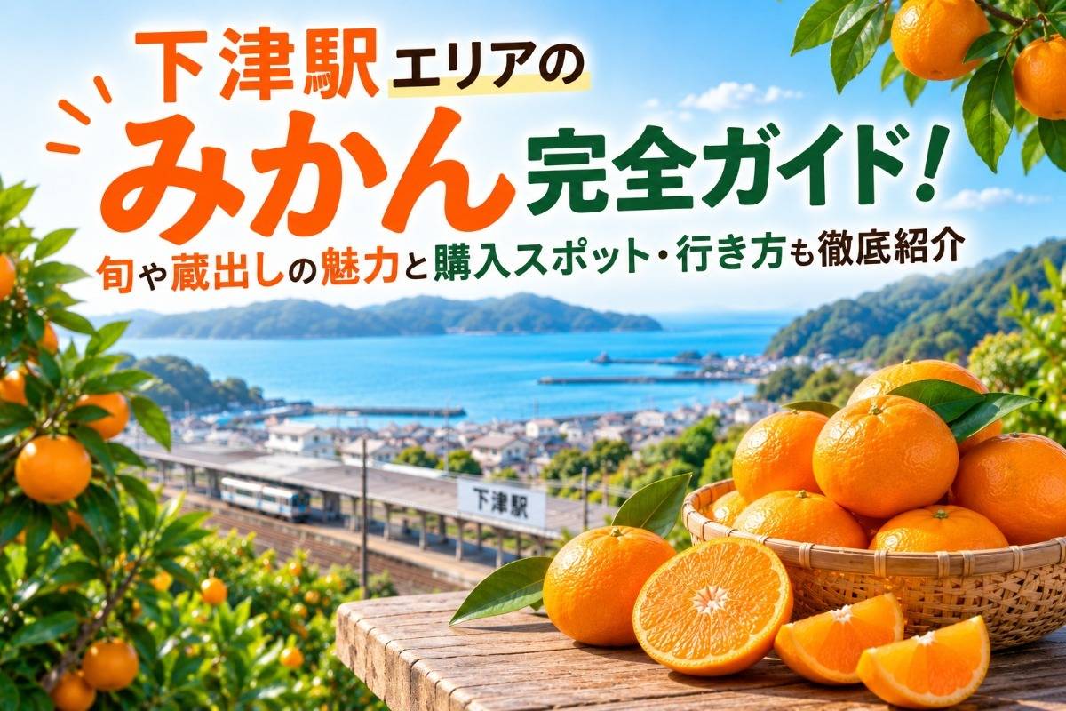 下津駅エリアのみかん完全ガイド!旬や蔵出しの魅力と購入スポット・行き方も徹底紹介
