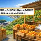 冷水浦駅から巡る紀州みかんの産地旅｜直送購入と旬のみかん選び完全ガイド