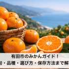 有田市のみかんガイド！旬・品種・選び方・保存方法まで解説