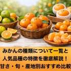 みかんの種類について一覧と人気品種の特徴を徹底解説！甘さ・旬・産地別おすすめ比較