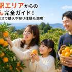 初島駅エリアからのみかん完全ガイド！最短アクセスで購入や狩り体験も満喫