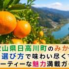 和歌山県日高川町のみかんを旬と選び方で味わい尽くす！フルーティーな魅力満載ガイド