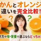 みかんとオレンジの違いを完全比較！見分け方や味・栄養で選ぶならどっちがお得？